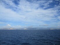 IMG_0320