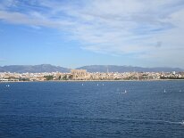 IMG_0328