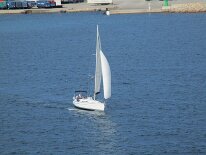 IMG_0331