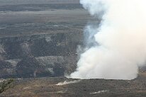 IMG_8850