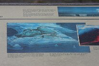 IMG_8854