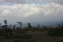IMG_8855