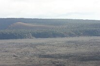 IMG_8858
