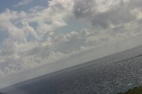 IMG_9005