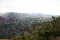IMG_8931