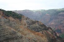 IMG_8938