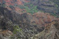 IMG_8939