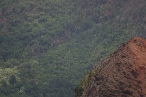 IMG_8941