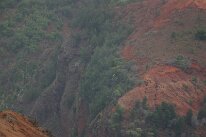 IMG_8942