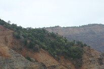 IMG_8945