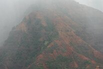 IMG_8946
