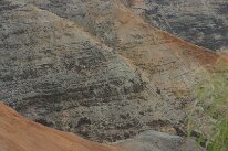 IMG_8950