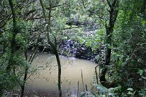 IMG_8800