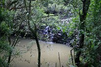 IMG_8801