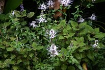 IMG_8802