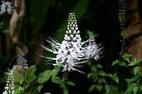 IMG_8803