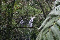 IMG_8804