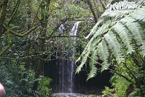 IMG_8805