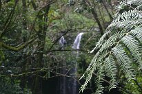 IMG_8806