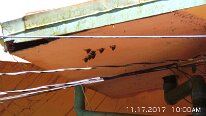 20171117_100019