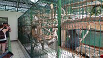 20171117_100512