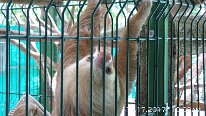20171117_100805