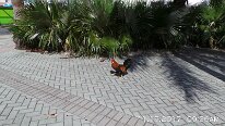 20171119_092630