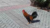 20171119_092636