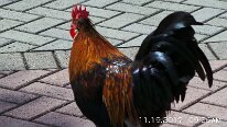 20171119_092646