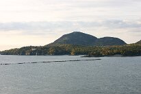 IMG_9822