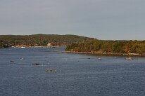 IMG_9826