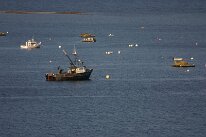 IMG_9834