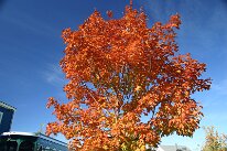 IMG_9835