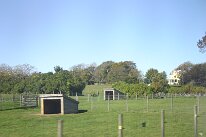 IMG_0006