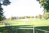 IMG_0008