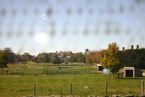 IMG_9989