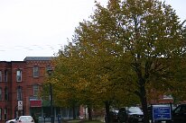 IMG_9738