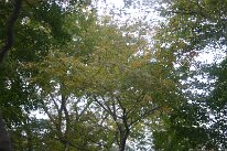 IMG_9739
