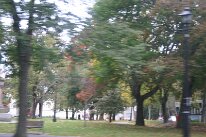 IMG_9740