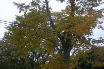 IMG_9742
