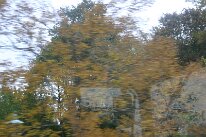 IMG_9744