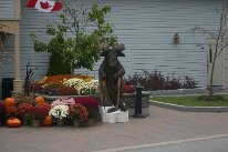 IMG_9756