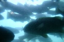 IMG_4719