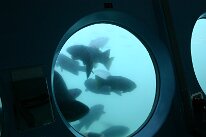 IMG_4726
