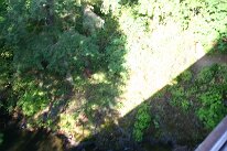 IMG_4575