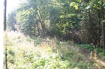 IMG_4579