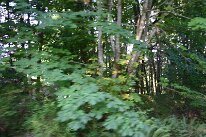 IMG_4581