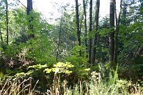 IMG_4585