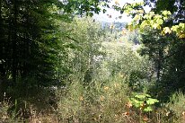 IMG_4586