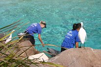 IMG_4845